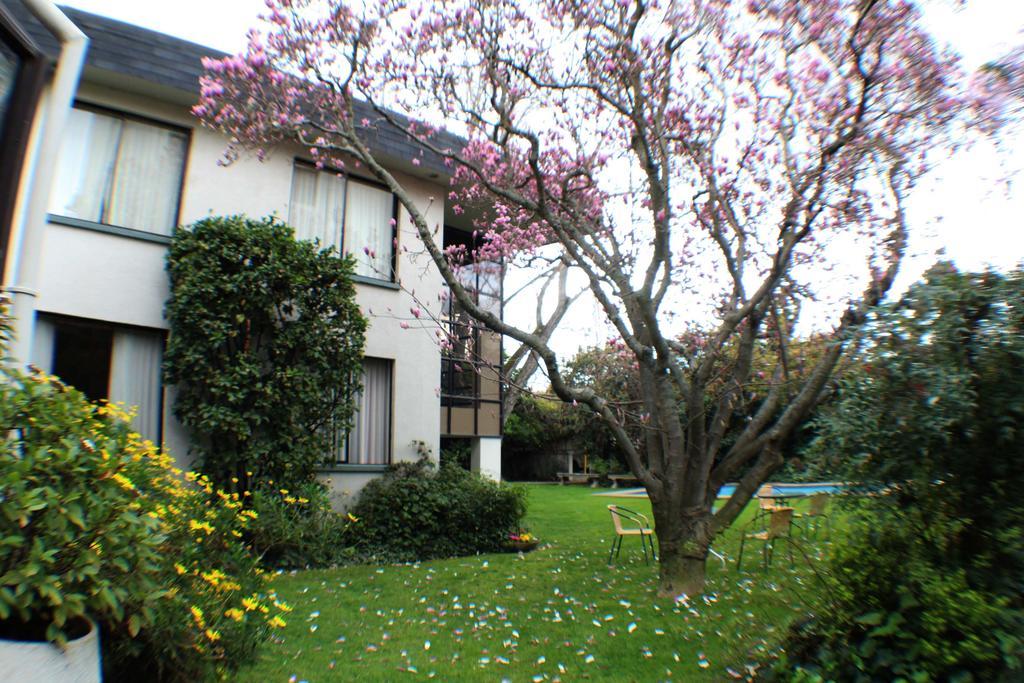 Hotel Terrabella Talca  Exteriör bild
